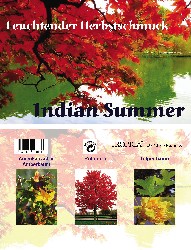 Artikel-Bild-Indian Summer