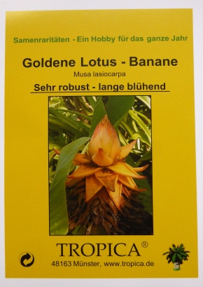 Bananen - Samenset / 7 Tüten - 1536 - 244 - 7 - 8