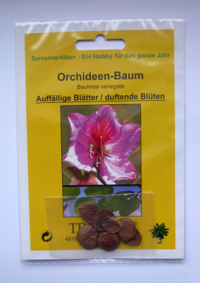 Samenset-Orchideenbäume - 1808 - 1592 - 2 - 3